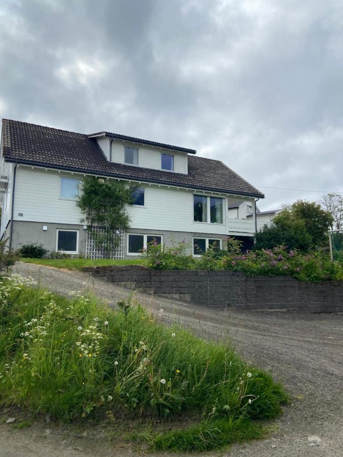 Lofoten Overnatting - Ballstad Exterior foto